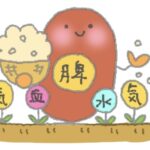 脾胃（ひい）の働きとは
