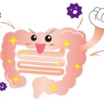 免疫は私たちの体をウイルス、細菌などから守る働き