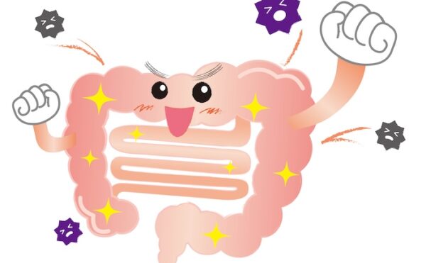 免疫は私たちの体をウイルス、細菌などから守る働き