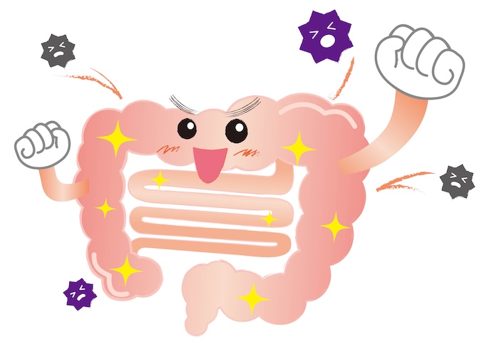 免疫は私たちの体をウイルス、細菌などから守る働き