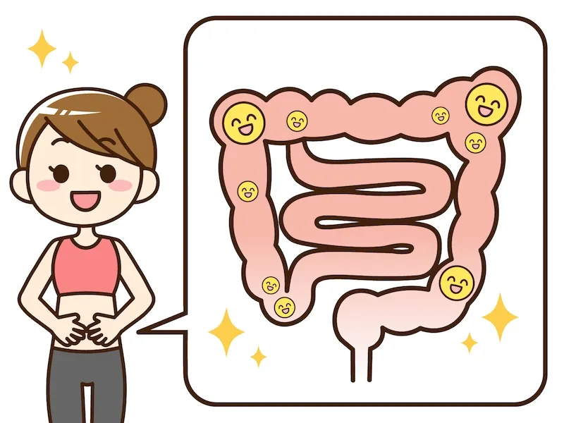 健康な腸内環境