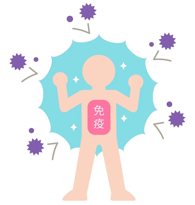 免疫力の高い女性。